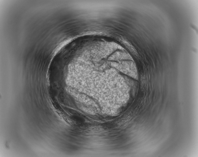 X0000096410628200802141541