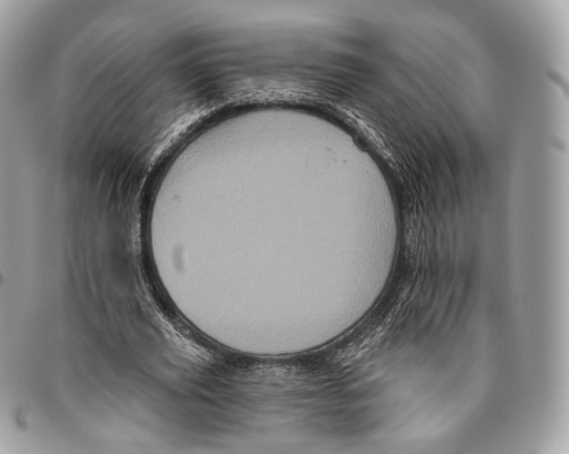 X0000096410629200802141541