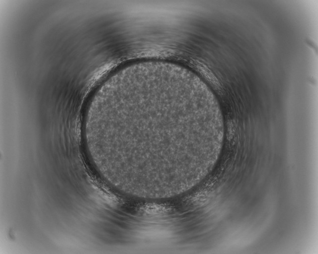 X0000096410632200802141541