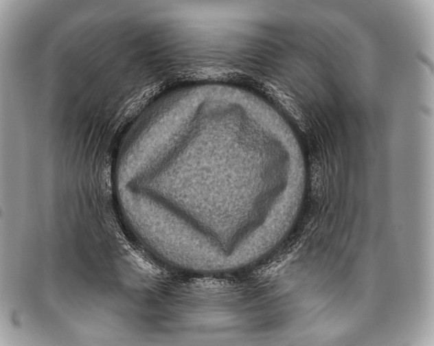 X0000096410633200802141541