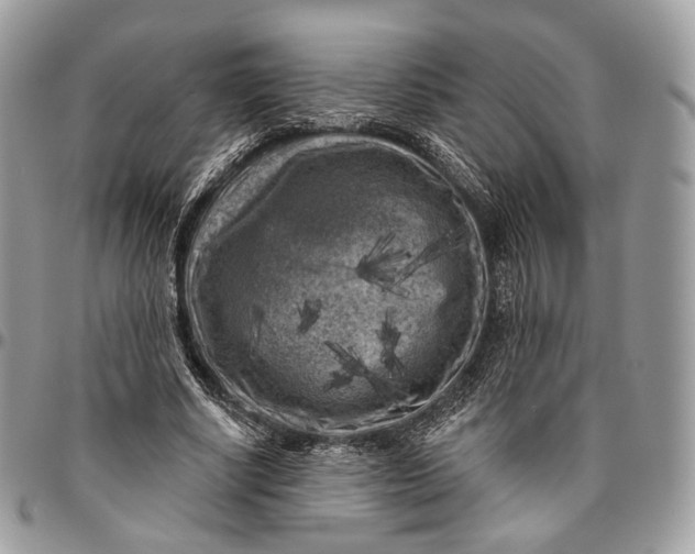 X0000096410634200802141541