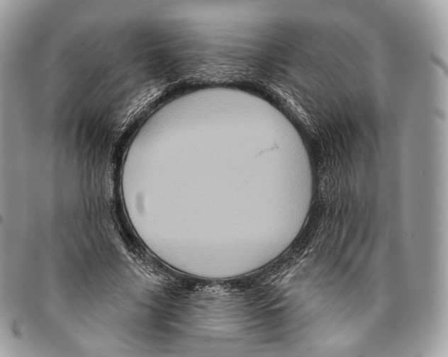 X0000096410635200802141541