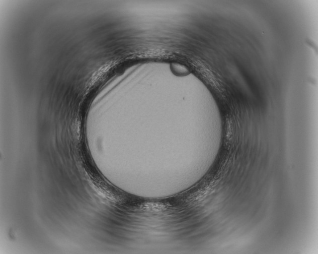 X0000096410636200802141541