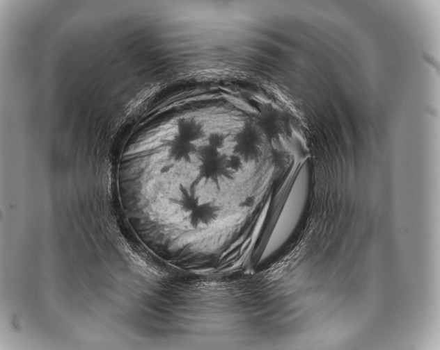 X0000096410637200802141541