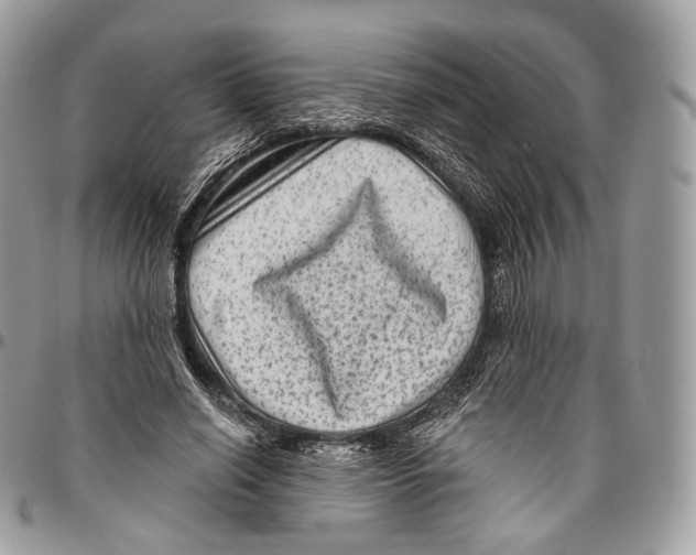 X0000096410638200802141541