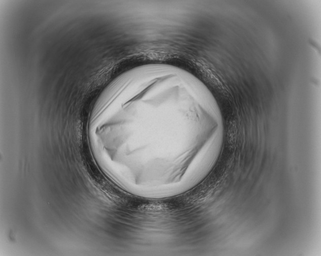 X0000096410639200802141542