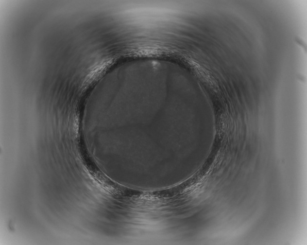 X0000096410640200802141542