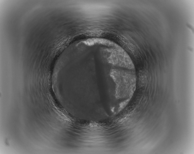 X0000096410641200802141542