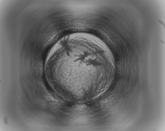 X0000096410642200802141542