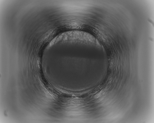 X0000096410643200802141542