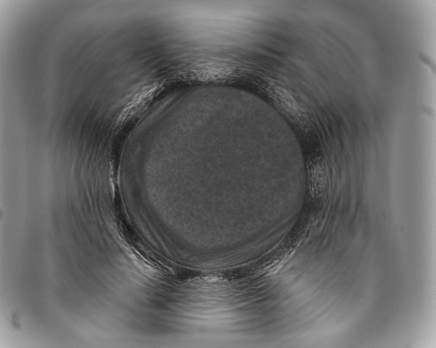 X0000096410644200802141542