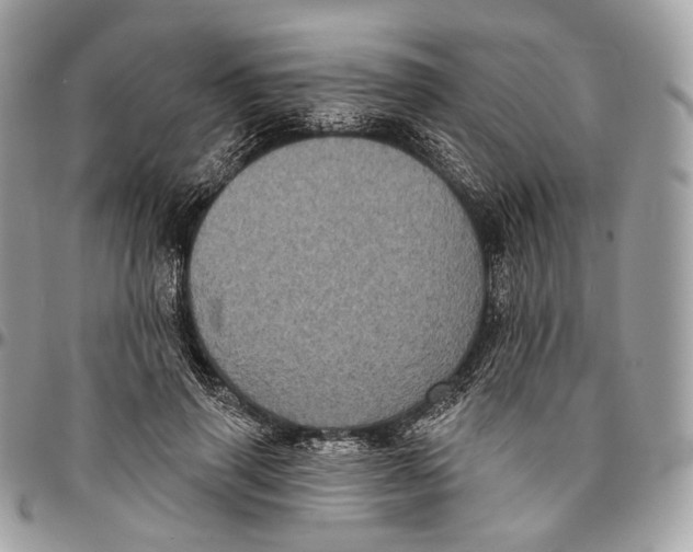 X0000096410645200802141542