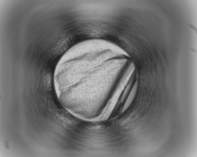 X0000096410646200802141542