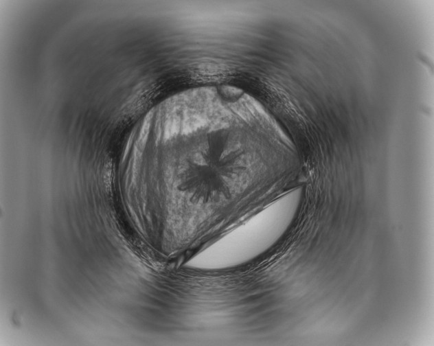 X0000096410647200802141542