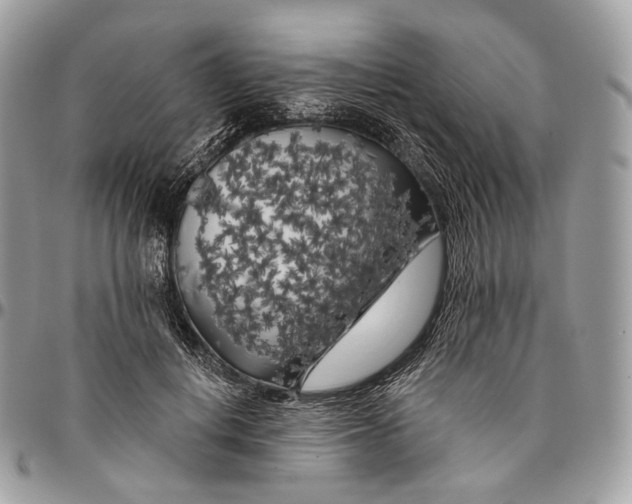 X0000096410648200802141542