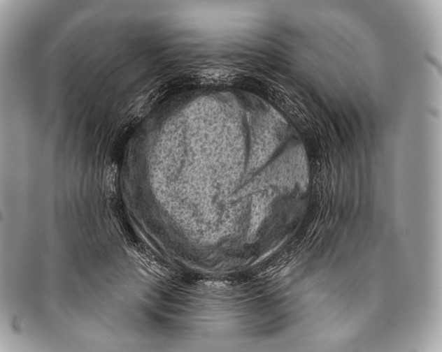 X0000096410649200802141542