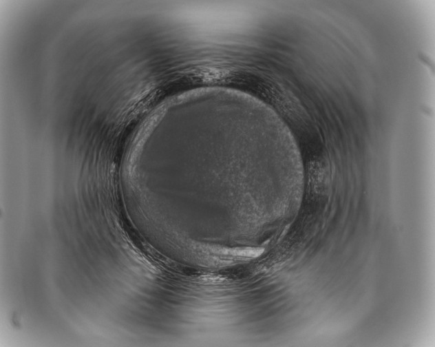 X0000096410650200802141542