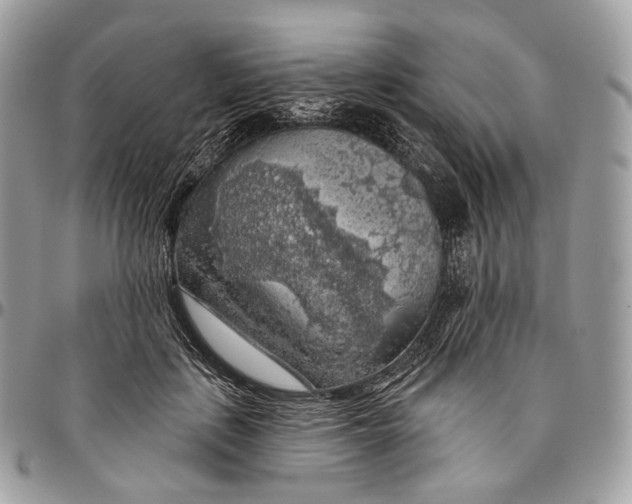 X0000096410651200802141542