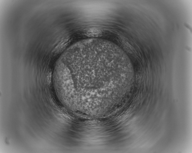 X0000096410652200802141542