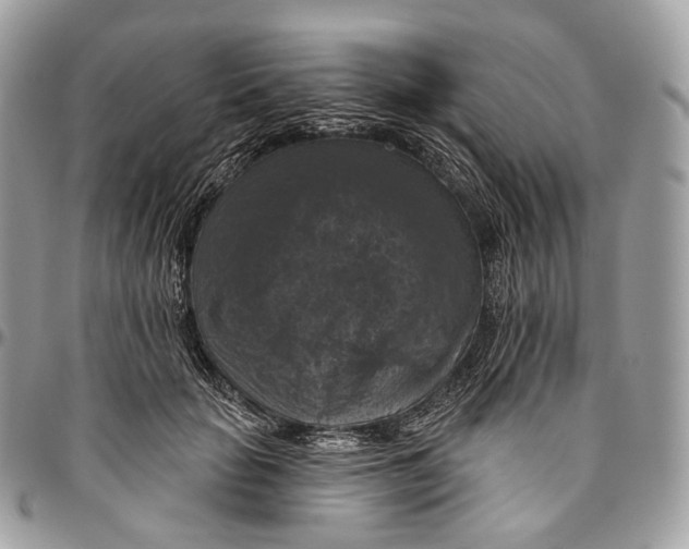 X0000096410653200802141542