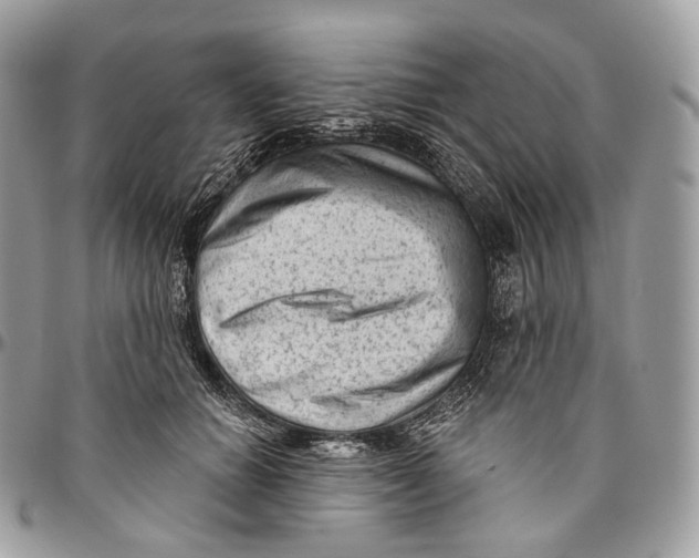 X0000096410654200802141542