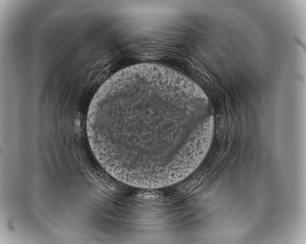 X0000096410655200802141542