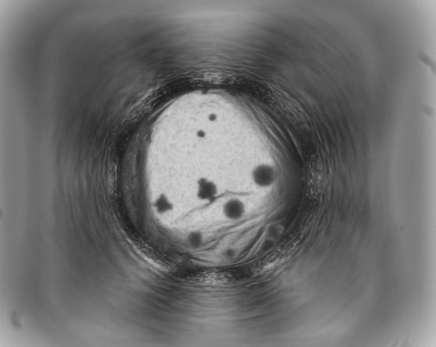 X0000096410656200802141542