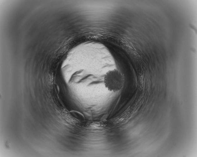 X0000096410657200802141542