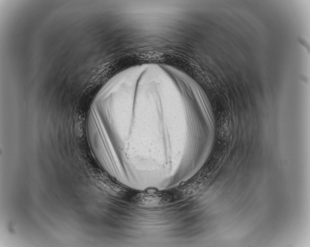 X0000096410658200802141542