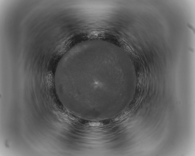 X0000096410659200802141542