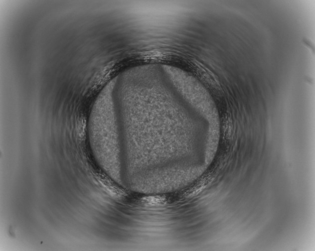 X0000096410660200802141542