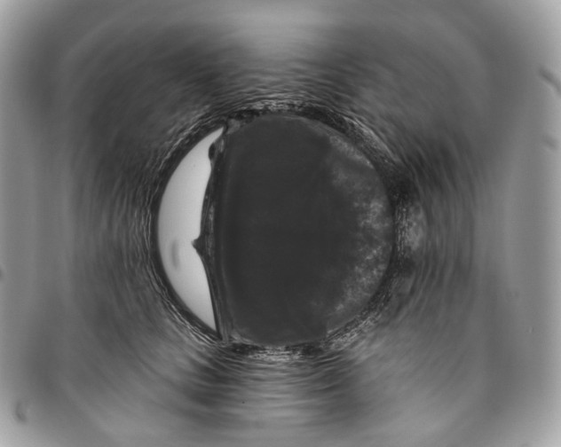 X0000096410661200802141542