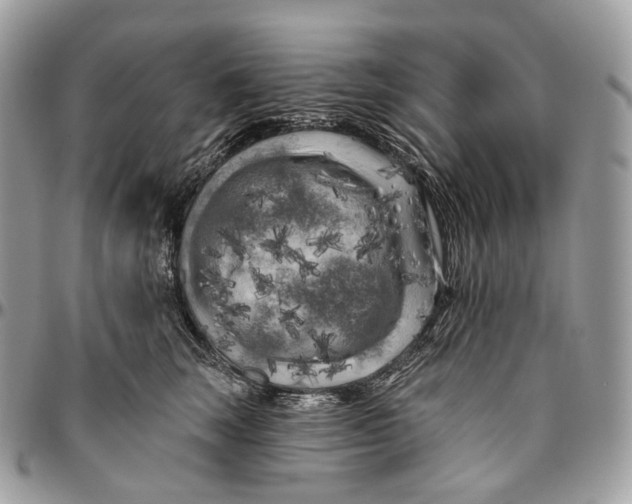 X0000096410663200802141542