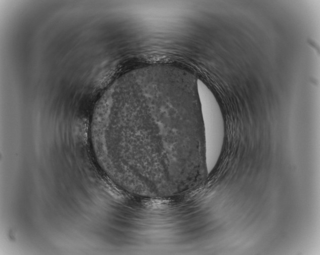 X0000096410664200802141542