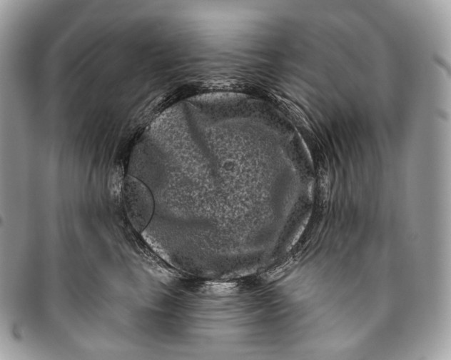 X0000096410665200802141542