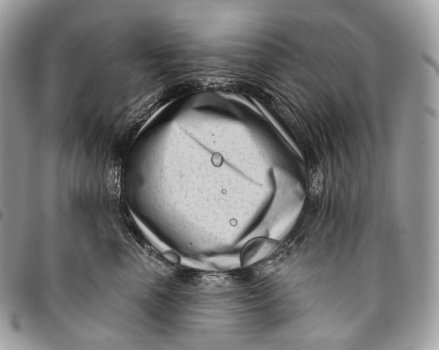 X0000096410666200802141542