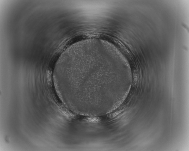 X0000096410667200802141542