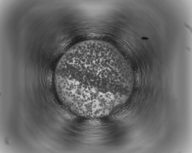 X0000096410668200802141542