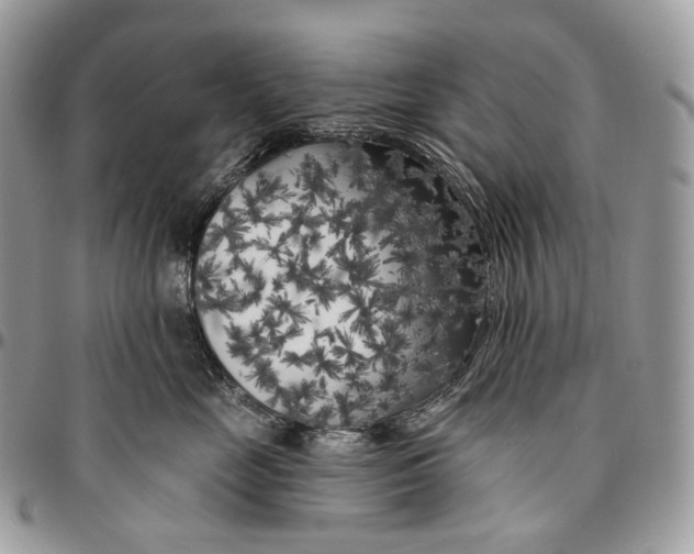 X0000096410669200802141542