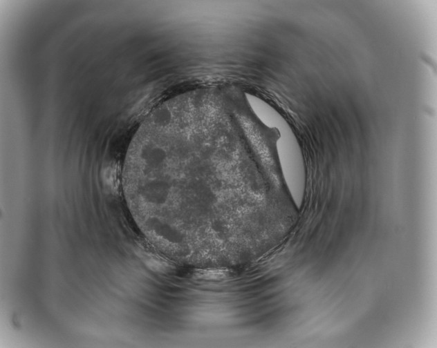 X0000096410671200802141542