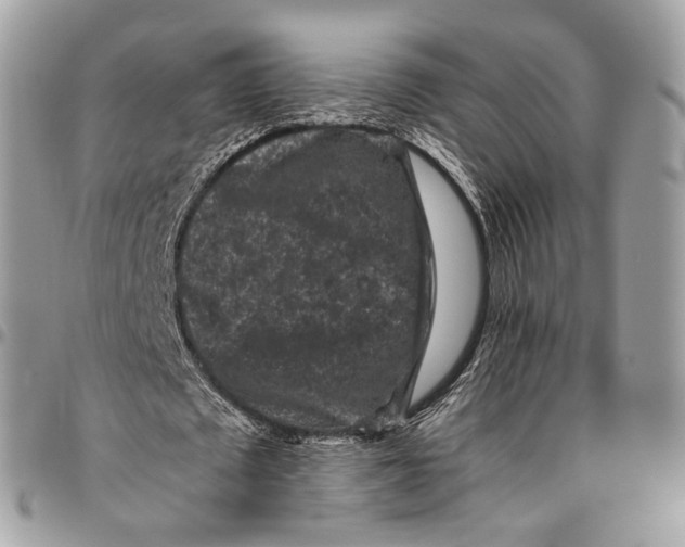 X0000096410673200802141541