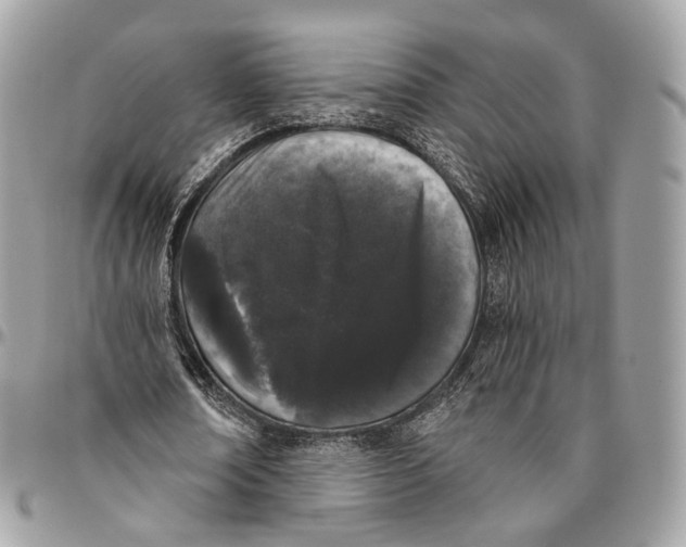 X0000096410674200802141541