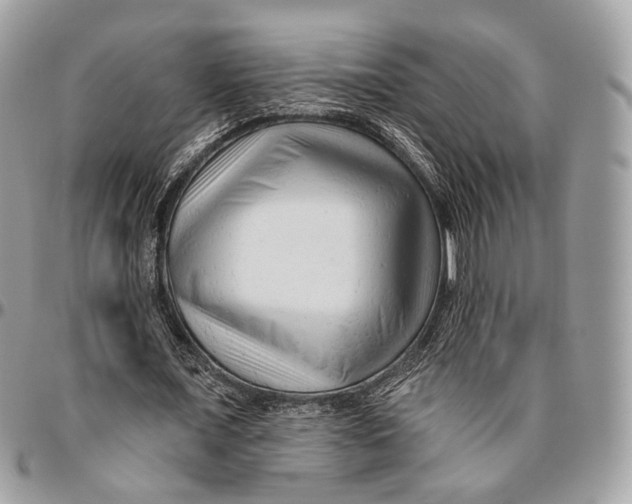 X0000096410675200802141541