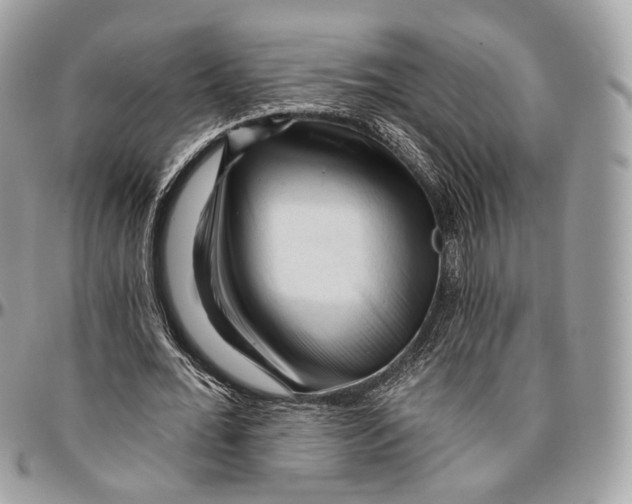 X0000096410676200802141541