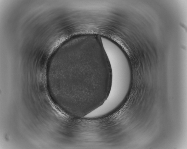 X0000096410677200802141541