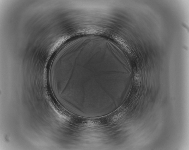 X0000096410678200802141541