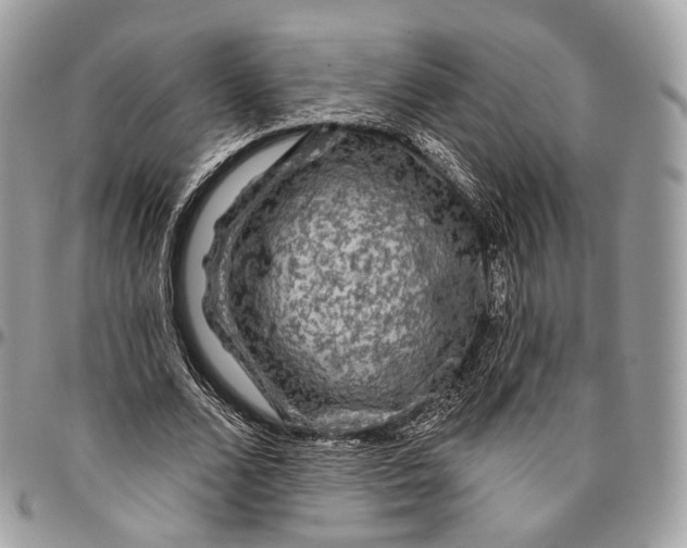 X0000096410680200802141541