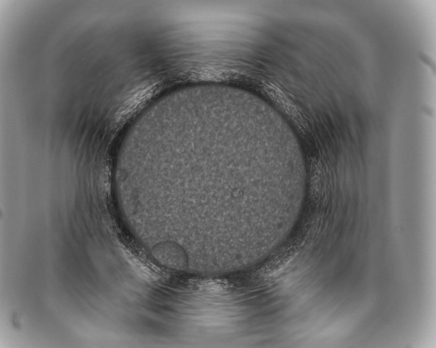 X0000096410683200802141541