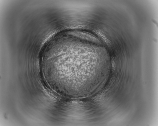 X0000096410684200802141541