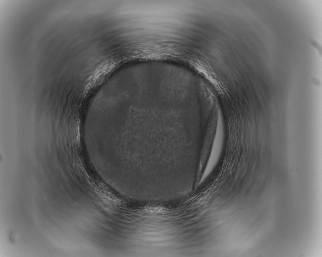 X0000096410685200802141541